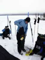 Norwegen Skinnarbu Mosvatn