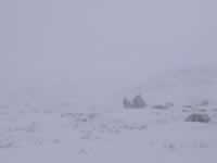 Norwegen Skinnarbu Mosvatn