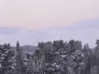 Norwegen Skinnarbu Mosvatn