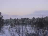 Norwegen Skinnarbu Mosvatn